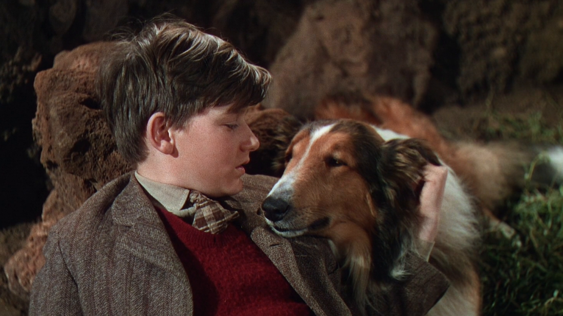 Image result for lassie come home 1943"